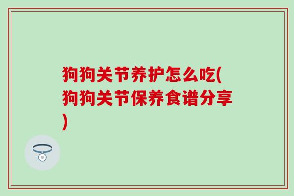 狗狗关节养护怎么吃(狗狗关节保养食谱分享)