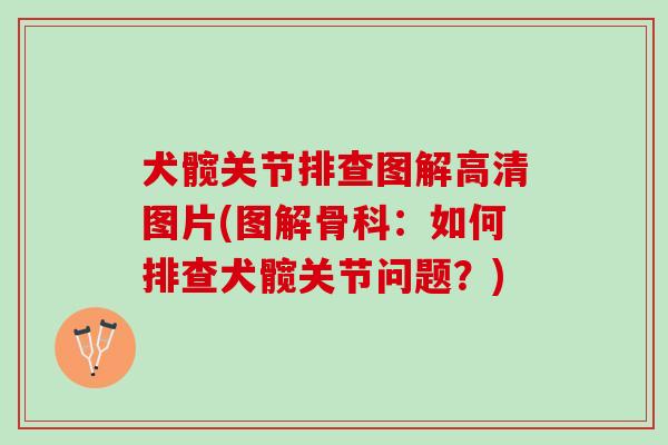 犬髋关节排查图解高清图片(图解骨科：如何排查犬髋关节问题？)