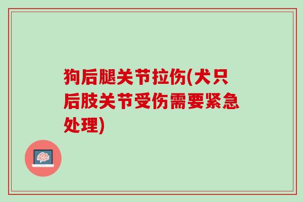 狗后腿关节拉伤(犬只后肢关节受伤需要紧急处理)