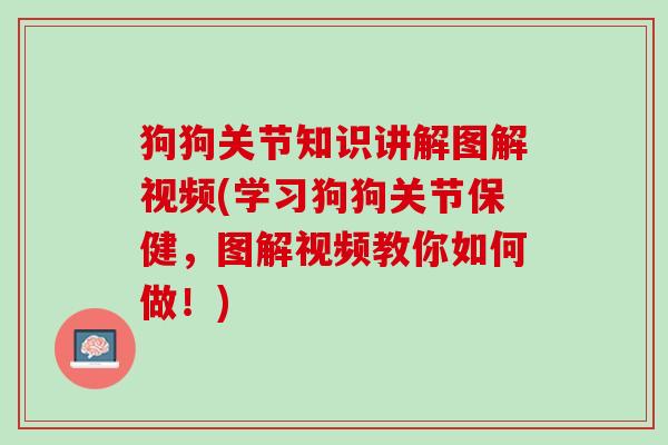 狗狗关节知识讲解图解视频(学习狗狗关节保健，图解视频教你如何做！)