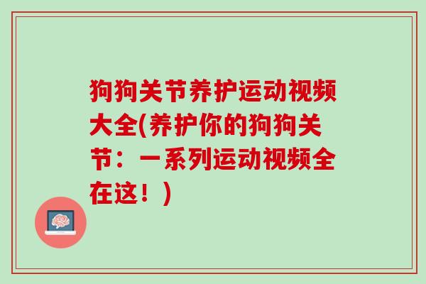 狗狗关节养护运动视频大全(养护你的狗狗关节：一系列运动视频全在这！)