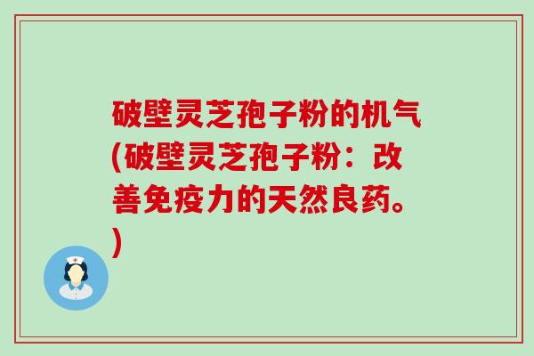 破壁灵芝孢子粉的机气(破壁灵芝孢子粉：改善免疫力的天然良药。)