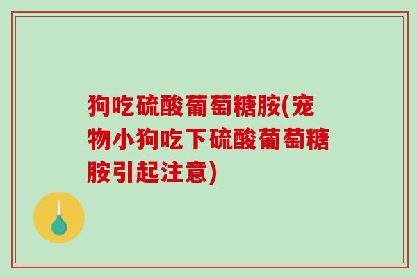 狗吃硫酸葡萄糖胺(宠物小狗吃下硫酸葡萄糖胺引起注意)