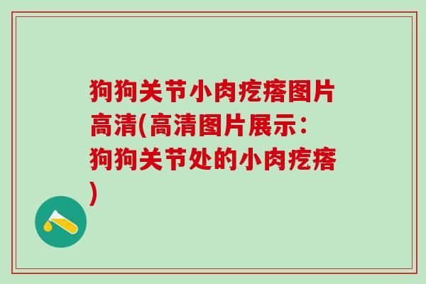 狗狗关节小肉疙瘩图片高清(高清图片展示：狗狗关节处的小肉疙瘩)