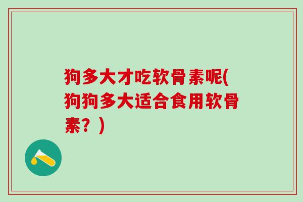 狗多大才吃软骨素呢(狗狗多大适合食用软骨素？)