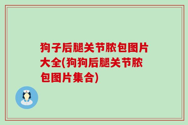 狗子后腿关节脓包图片大全(狗狗后腿关节脓包图片集合)