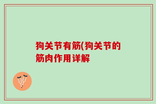 狗关节有筋(狗关节的筋肉作用详解