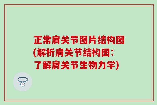 正常肩关节图片结构图(解析肩关节结构图：了解肩关节生物力学)