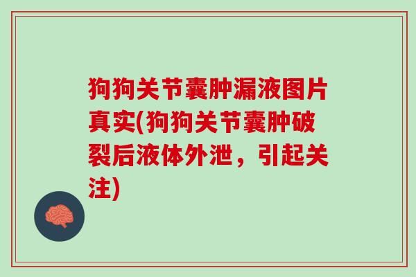 狗狗关节囊肿漏液图片真实(狗狗关节囊肿破裂后液体外泄，引起关注)