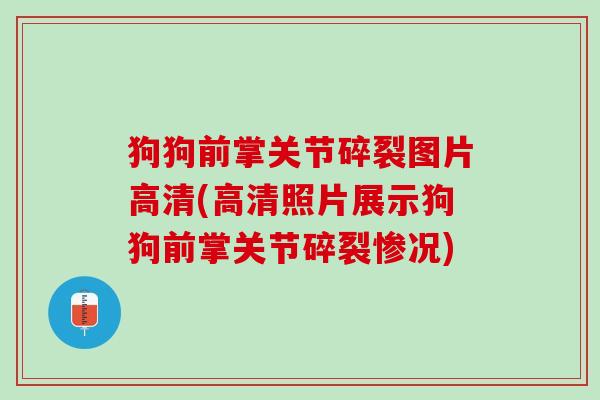 狗狗前掌关节碎裂图片高清(高清照片展示狗狗前掌关节碎裂惨况)