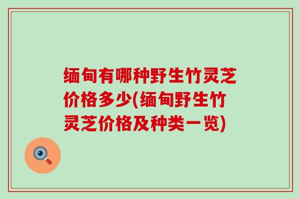 缅甸有哪种野生竹灵芝价格多少(缅甸野生竹灵芝价格及种类一览)