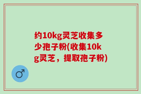 约10kg灵芝收集多少孢子粉(收集10kg灵芝，提取孢子粉)