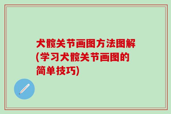 犬髋关节画图方法图解(学习犬髋关节画图的简单技巧)