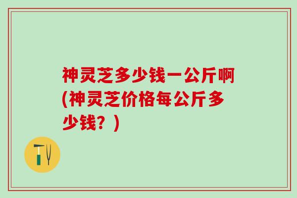 神灵芝多少钱一公斤啊(神灵芝价格每公斤多少钱？)