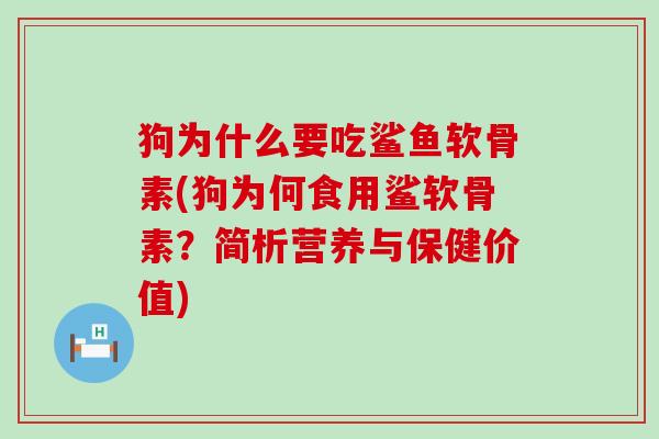 狗为什么要吃鲨鱼软骨素(狗为何食用鲨软骨素？简析营养与保健价值)