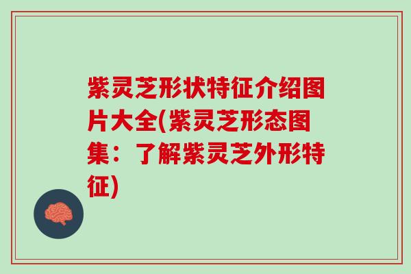 紫灵芝形状特征介绍图片大全(紫灵芝形态图集：了解紫灵芝外形特征)