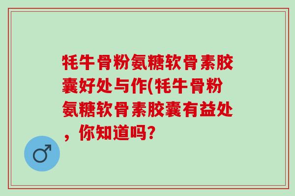 牦牛骨粉氨糖软骨素胶囊好处与作(牦牛骨粉氨糖软骨素胶囊有益处，你知道吗？