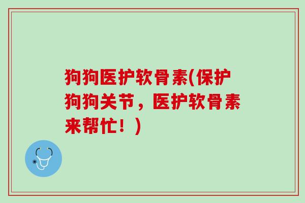 狗狗医护软骨素(保护狗狗关节，医护软骨素来帮忙！)