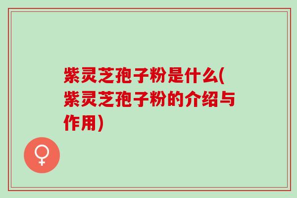 紫灵芝孢子粉是什么(紫灵芝孢子粉的介绍与作用)