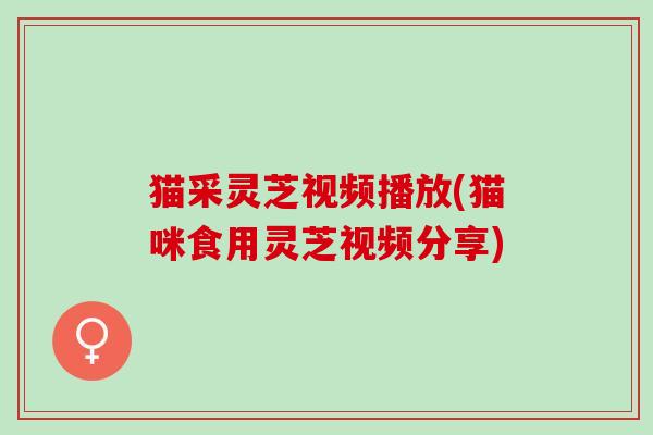 猫采灵芝视频播放(猫咪食用灵芝视频分享) 猫采灵芝视频播放(猫咪食用灵芝视频分享)