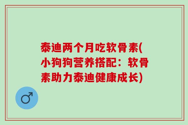 泰迪两个月吃软骨素(小狗狗营养搭配：软骨素助力泰迪健康成长)