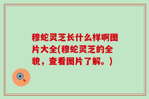 穆蛇灵芝长什么样啊图片大全(穆蛇灵芝的全貌，查看图片了解。)