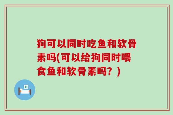 狗可以同时吃鱼和软骨素吗(可以给狗同时喂食鱼和软骨素吗？)