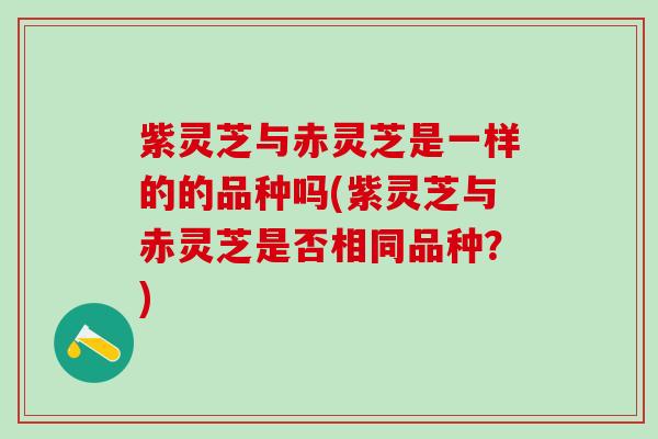 紫灵芝与赤灵芝是一样的的品种吗(紫灵芝与赤灵芝是否相同品种？)