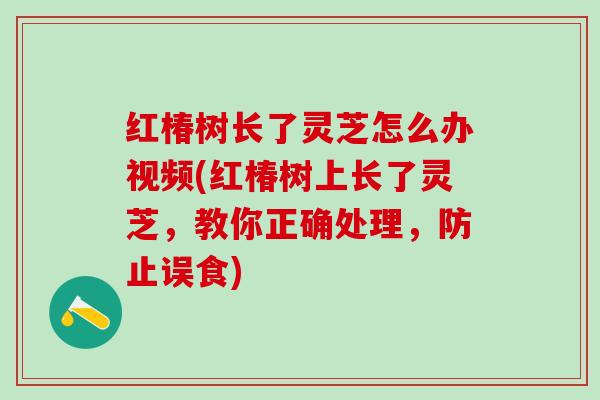 红椿树长了灵芝怎么办视频(红椿树上长了灵芝，教你正确处理，防止误食)