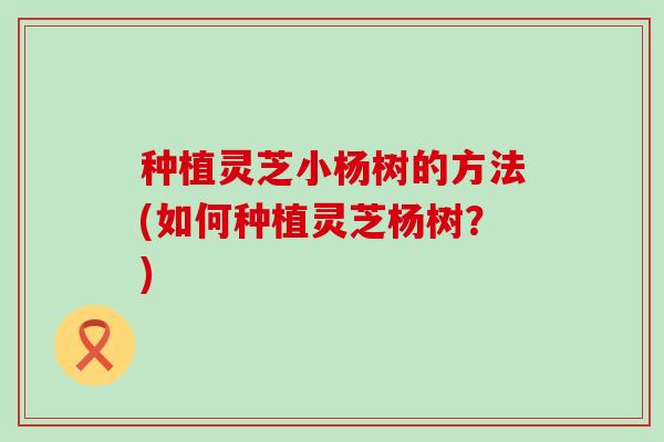 种植灵芝小杨树的方法(如何种植灵芝杨树？)