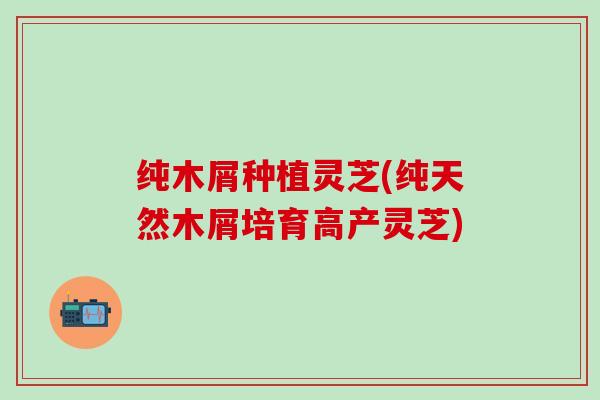 纯木屑种植灵芝(纯天然木屑培育高产灵芝)