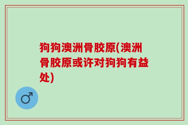 狗狗澳洲骨胶原(澳洲骨胶原或许对狗狗有益处)