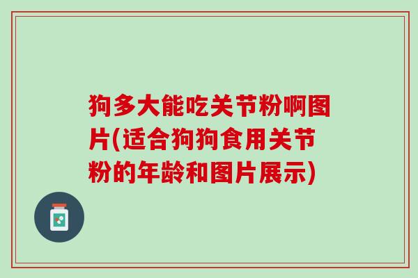 狗多大能吃关节粉啊图片(适合狗狗食用关节粉的年龄和图片展示)