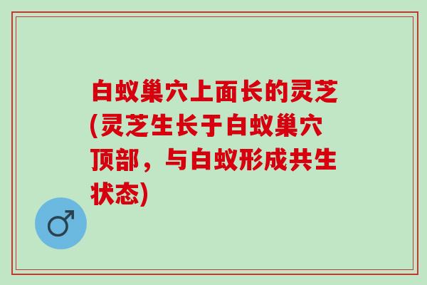 白蚁巢穴上面长的灵芝(灵芝生长于白蚁巢穴顶部，与白蚁形成共生状态)