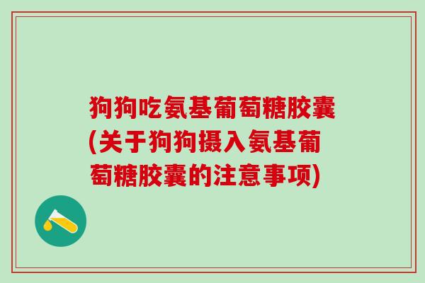 狗狗吃氨基葡萄糖胶囊(关于狗狗摄入氨基葡萄糖胶囊的注意事项)
