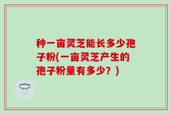 种一亩灵芝能长多少孢子粉(一亩灵芝产生的孢子粉量有多少？)