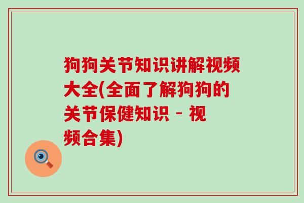 狗狗关节知识讲解视频大全(全面了解狗狗的关节保健知识 - 视频合集)