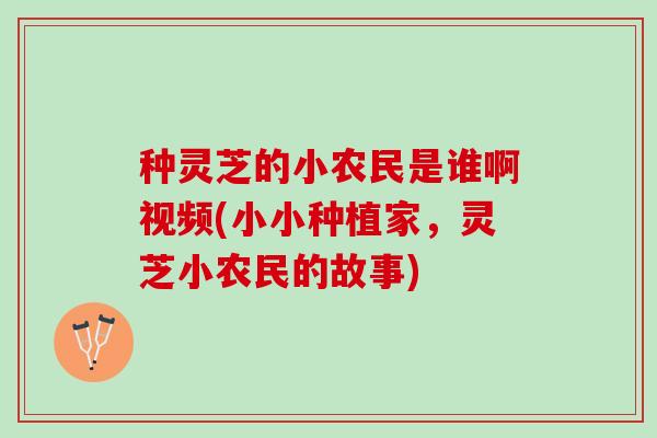 种灵芝的小农民是谁啊视频(小小种植家，灵芝小农民的故事)