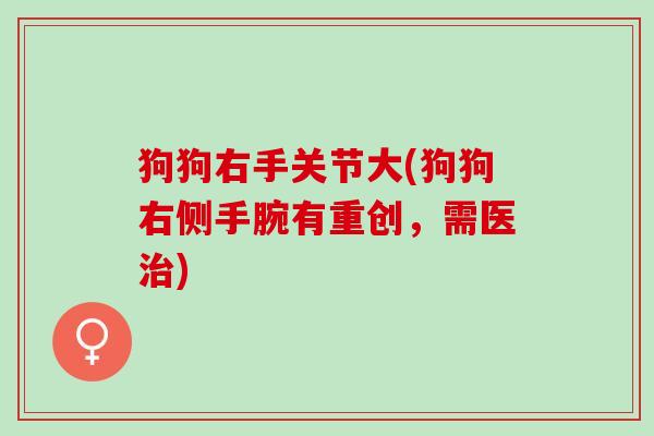 狗狗右手关节大(狗狗右侧手腕有重创，需医治)