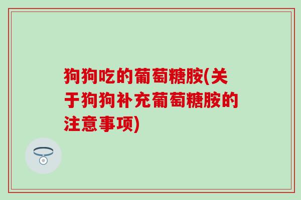 狗狗吃的葡萄糖胺(关于狗狗补充葡萄糖胺的注意事项)