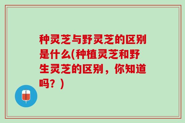 种灵芝与野灵芝的区别是什么(种植灵芝和野生灵芝的区别，你知道吗？)