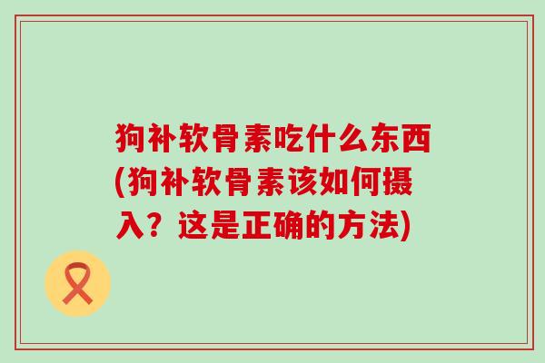 狗补软骨素吃什么东西(狗补软骨素该如何摄入？这是正确的方法)