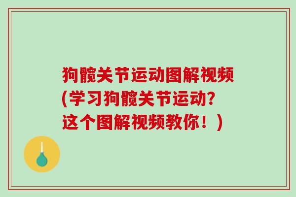 狗髋关节运动图解视频(学习狗髋关节运动？这个图解视频教你！)