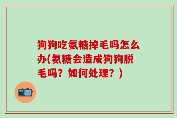 狗狗吃氨糖掉毛吗怎么办(氨糖会造成狗狗脱毛吗？如何处理？)