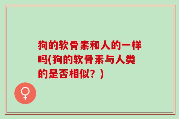 狗的软骨素和人的一样吗(狗的软骨素与人类的是否相似？)