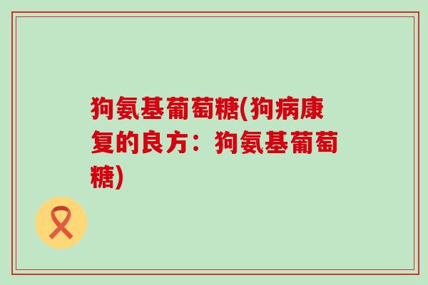 狗氨基葡萄糖(狗病康复的良方：狗氨基葡萄糖)