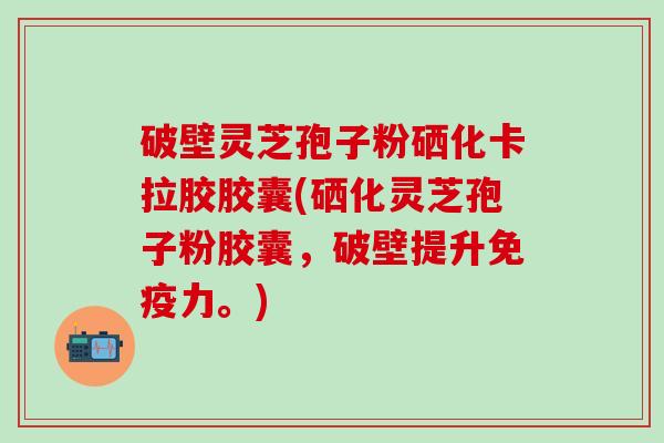 破壁灵芝孢子粉硒化卡拉胶胶囊(硒化灵芝孢子粉胶囊，破壁提升免疫力。)