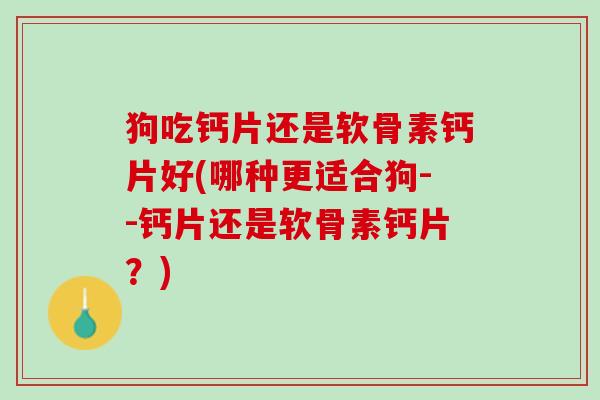 狗吃钙片还是软骨素钙片好(哪种更适合狗--钙片还是软骨素钙片？)