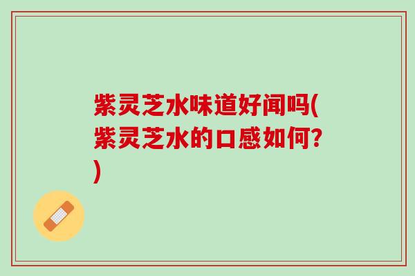 紫灵芝水味道好闻吗(紫灵芝水的口感如何？)