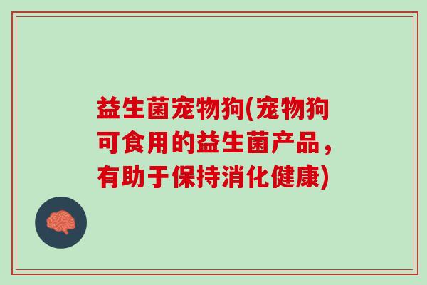 益生菌宠物狗(宠物狗可食用的益生菌产品，有助于保持消化健康)